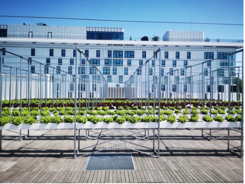 GOPONIC EN AGRICULTURE URBAINE – PROJET AGRIPOLIS PORTE DE VERSAILLE 2020